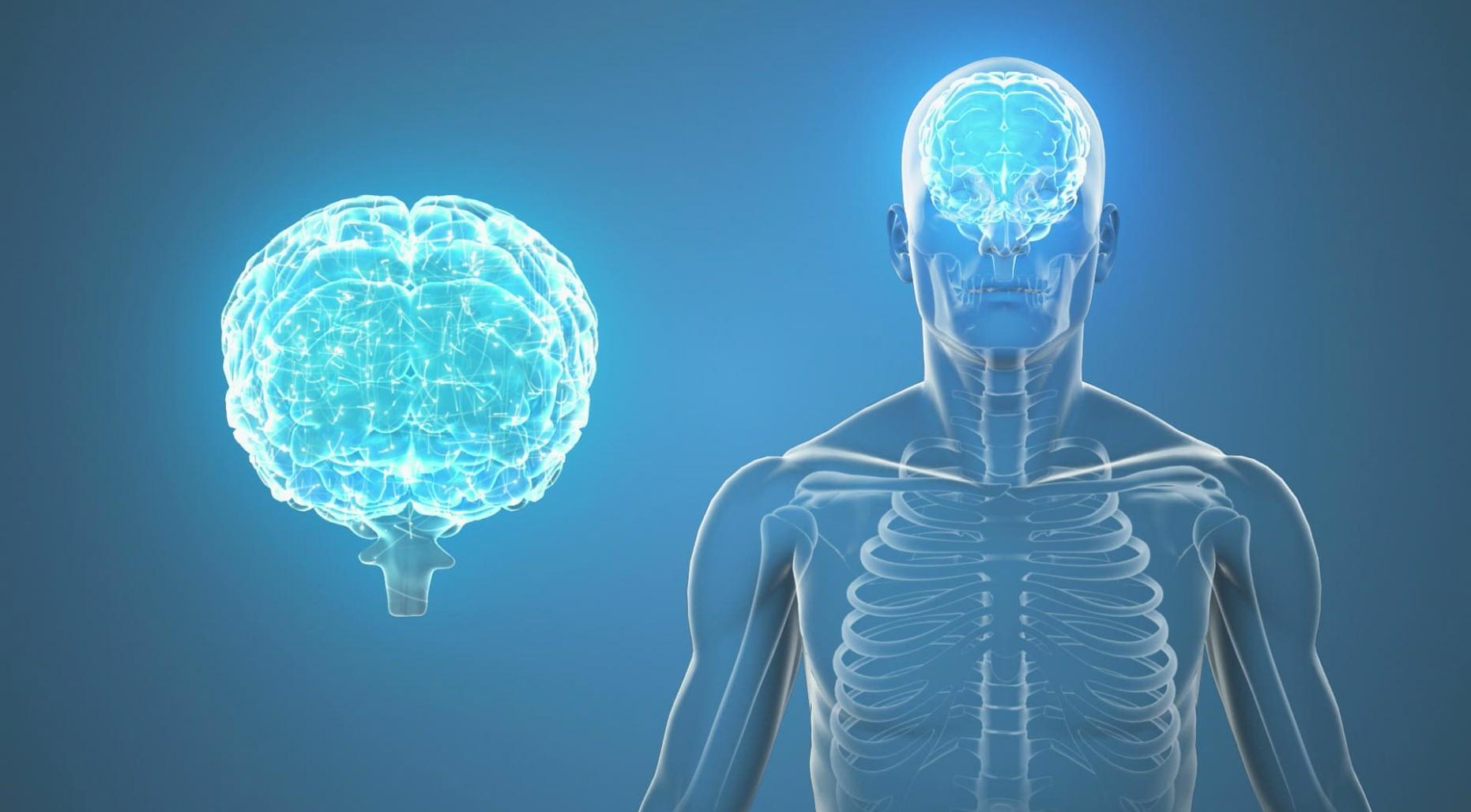 Einblick in unsere Arbeitsweise bei der Implementierung von Erkennungssystemen